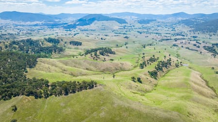 "Tom's" Tallys Lane Tallangatta Valley VIC 3701 - Image 1