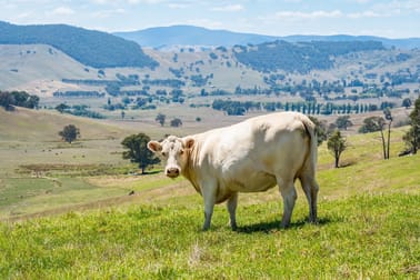 "Tom's" Tallys Lane Tallangatta Valley VIC 3701 - Image 2