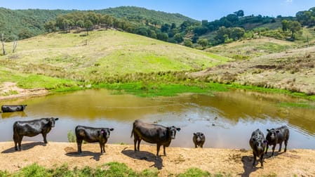 "Tom's" Tallys Lane Tallangatta Valley VIC 3701 - Image 3