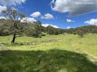 'Mt Clear'/* Morven Road Dundee NSW 2370 - Image 3