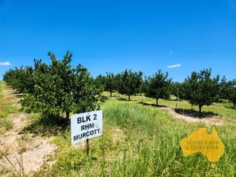 Dykehead Road Boynewood QLD 4626 - Image 2