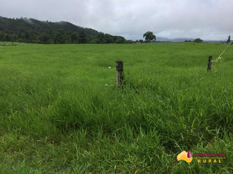 Utchee Creek QLD 4871 - Image 3