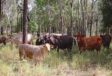 Holmes Road Camboon QLD 4719 - Image 3