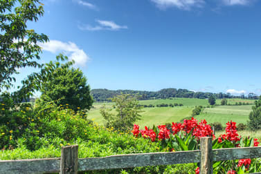 Dorrigo NSW 2453 - Image 2