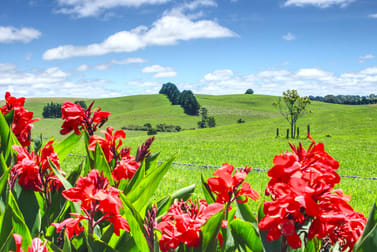 Dorrigo NSW 2453 - Image 1