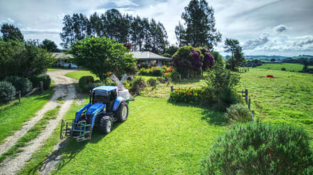 Dorrigo NSW 2453 - Image 3