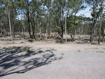 Lot 31/448 East Seaham Road East Seaham NSW 2324 - Image 1