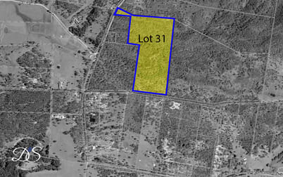Lot 31/448 East Seaham Road East Seaham NSW 2324 - Image 2