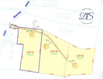 Lot 31/448 East Seaham Road East Seaham NSW 2324 - Image 3