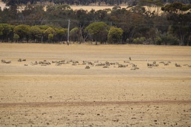 191 Great Southern Highway Woodanilling WA 6316 - Image 1