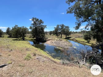 Lot 10, 3140 Golden Highway Gungal NSW 2333 - Image 1