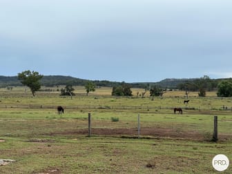 Lot 10, 3140 Golden Highway Gungal NSW 2333 - Image 3