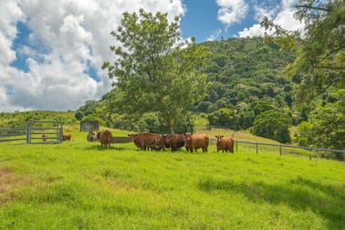 76 Parsons Road Coondoo QLD 4570 - Image 3