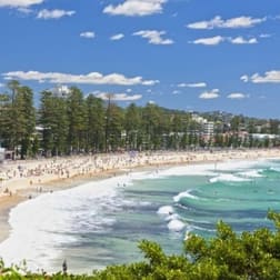 Courier  business for sale in Manly - Image 1