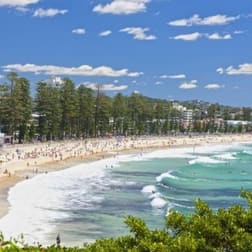 Freight  business for sale in Manly - Image 1