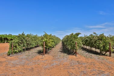 Lot 2 Lowan Avenue Red Cliffs VIC 3496 - Image 2