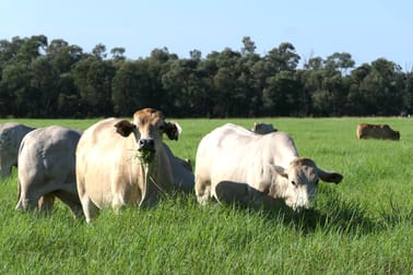 'Aura Park' North Pattens Road, Boynewood Mundubbera QLD 4626 - Image 2