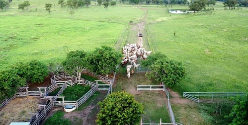 'Aura Park' North Pattens Road, Boynewood Mundubbera QLD 4626 - Image 3