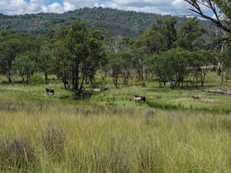 Click to view all images 778 Torryburn Road Yarrowyck NSW 2358 - Image 3