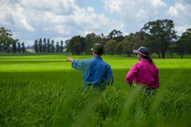 Taralga NSW 2580 - Image 1