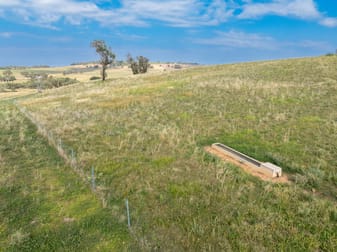 "Highfield East" 170 Kurrajong Road Cudal NSW 2864 - Image 3