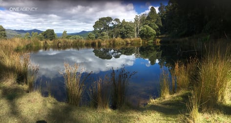 250 Masons Road Wilmot TAS 7310 - Image 3