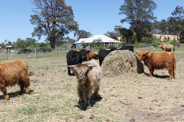 8991 Nerriga Road Braidwood NSW 2622 - Image 1