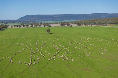 799 Pleasant Valley Road Binya NSW 2665 - Image 1