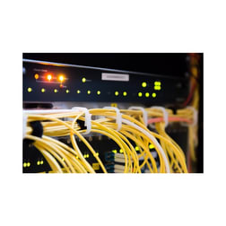 Professional Services  business for sale in Central Queensland Greater Region QLD - Image 3