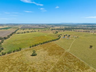 69 Nelligan Road Gooloogong NSW 2805 - Image 1