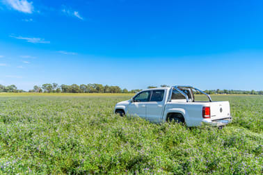 Kangarooby Road Gooloogong NSW 2805 - Image 3