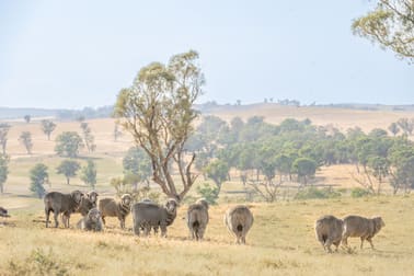 Hartfield Road Barwang via Young NSW 2594 - Image 2