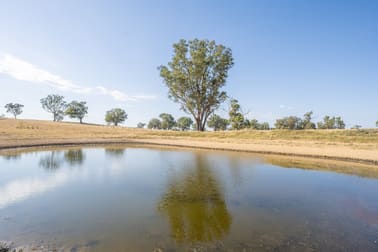 Hartfield Road Barwang via Young NSW 2594 - Image 3