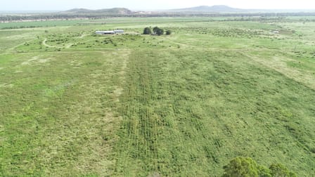 45 Piva Road Home Hill QLD 4806 - Image 3