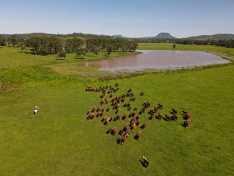 336 Grahams Creek Road Woodenbong NSW 2476 - Image 2