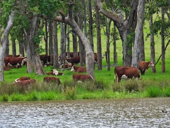 336 Grahams Creek Road Woodenbong NSW 2476 - Image 3