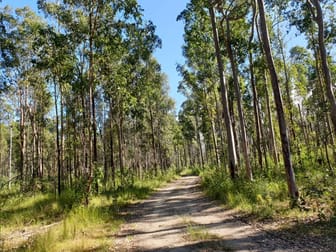 2229 Myall Creek Road West Bungawalbin NSW 2471 - Image 2