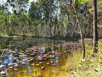 2229 Myall Creek Road West Bungawalbin NSW 2471 - Image 1