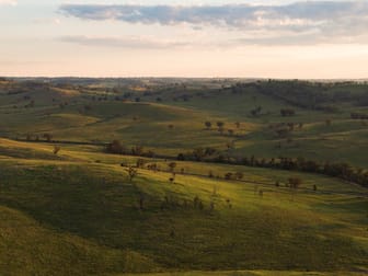 Bukkulla Road Ashford NSW 2361 - Image 3