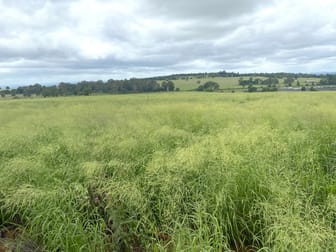 Lot 224 Schellbachs Road Kingaroy QLD 4610 - Image 2