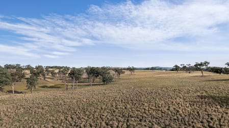 2396 Mitchell Highway Molong NSW 2866 - Image 3