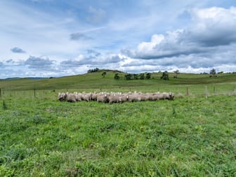 118 Golspie Road Taralga NSW 2580 - Image 2