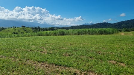 753 Bramston Beach Road East Russell QLD 4861 - Image 3