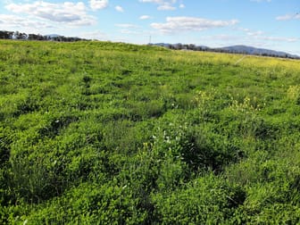 236 Kelvin Road Gunnedah NSW 2380 - Image 3