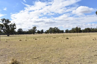 987 Boorr Hill Road Bruie Plains NSW 2875 - Image 1