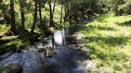 Coonawarra Stewarts Brook Road Stewarts Brook NSW 2337 - Image 1
