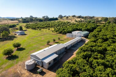 19 Zig Zag Road Beechworth VIC 3747 - Image 3