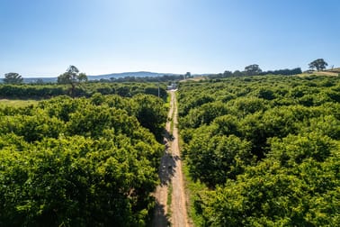 19 Zig Zag Road Beechworth VIC 3747 - Image 1