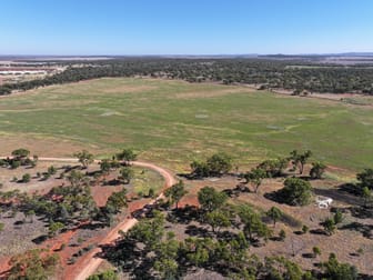 Back Hillston Road Tabbita NSW 2652 - Image 1
