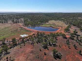 Back Hillston Road Tabbita NSW 2652 - Image 3